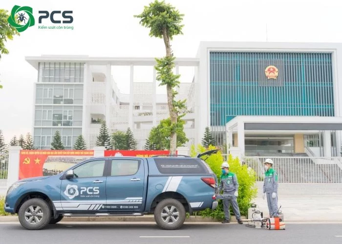 làm sao đuổi gián hiệu quả